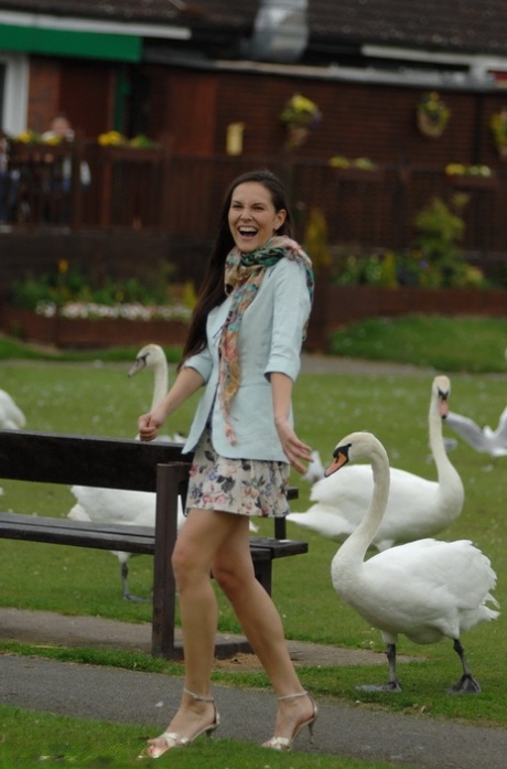 Brunette exhibitionist draws a gaggle of geese while flashing in public park 72738316